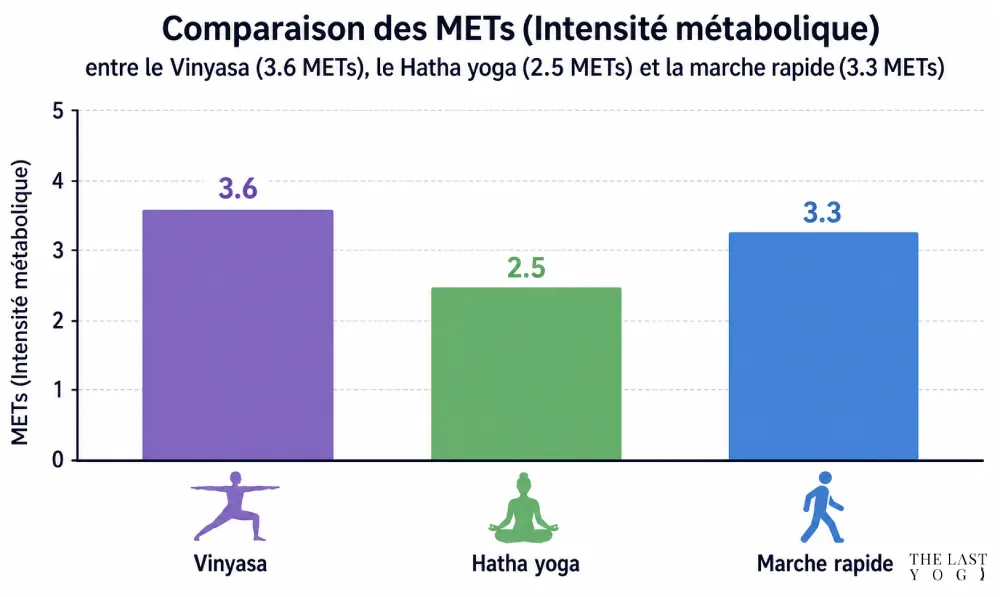comparaison intensité métabolique entre vinyasa, hatha, et marche