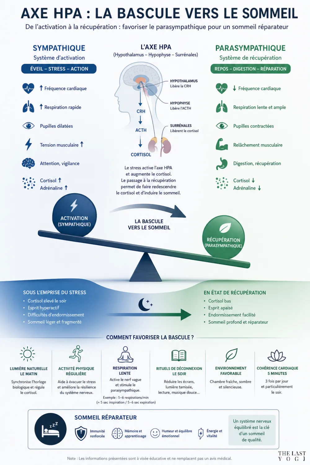 Infographie montrant la bascule de l'axe HPA
