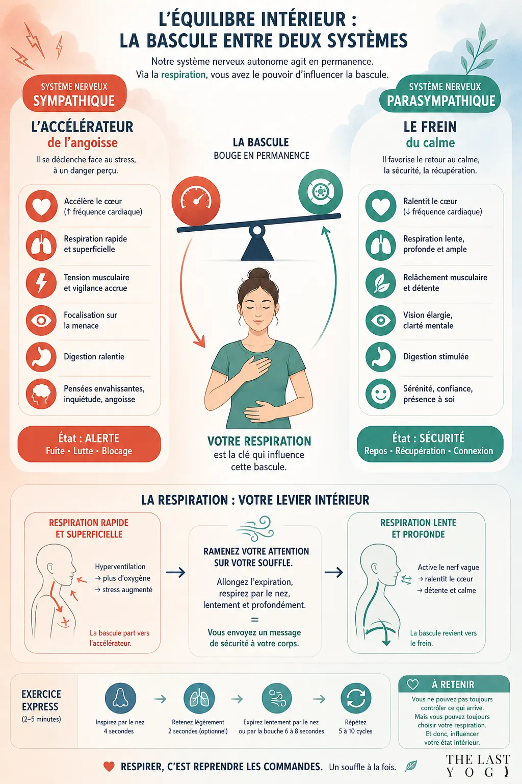 Infographie montrant la bascule entre le système nerveux sympathique (accélérateur de l'angoisse) et le système parasympathique (frein) via la respiration