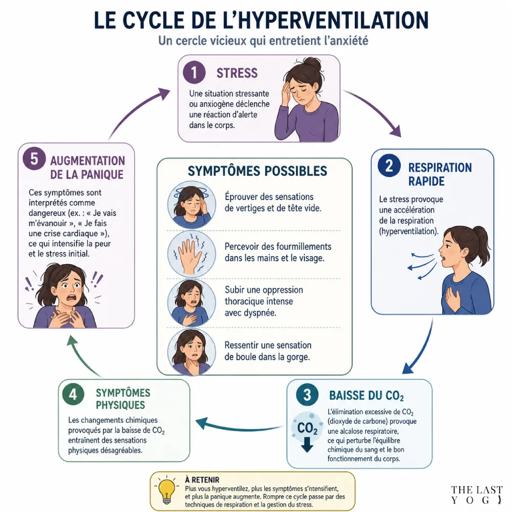 Schéma explicatif du cycle de l'hyperventilation (Stress -> Respiration rapide -> Baisse du CO2 -> Symptômes physiques -> Augmentation de la panique)